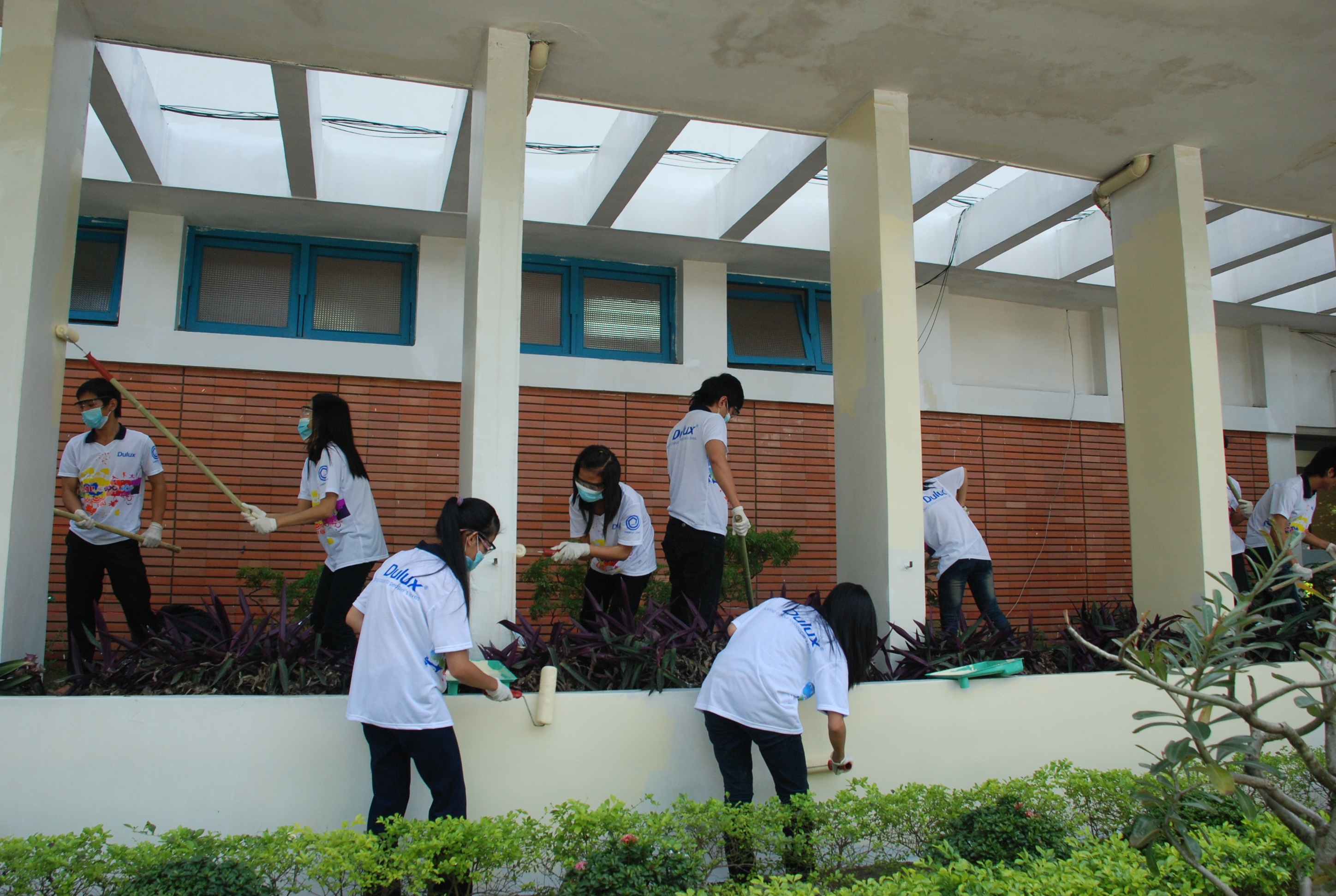 The students from universities contribute to repaint TW Hue hospital
